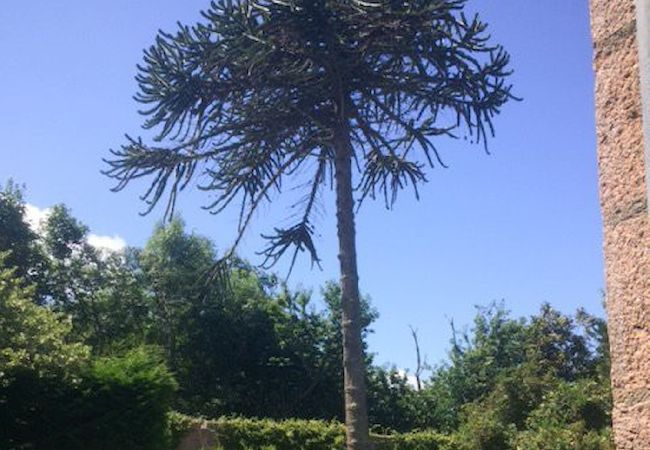 Ferienhaus in Perros-Guirec - La loge · location vue mer à Perros Guirec Ferienhaus in Perros-Guirec - La loge · location vue mer à Perros Guirec