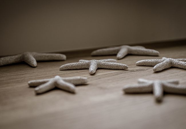 Ferienhaus in Perros-Guirec - TY MARIE, Ploumanach Ferienhaus in Perros-Guirec - TY MARIE, Ploumanach