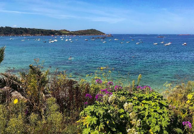 Maison à Trébeurden - pors termen · Exceptionnel Invite au voyage Maison à Trébeurden - pors termen · Exceptionnel Invite au voyage