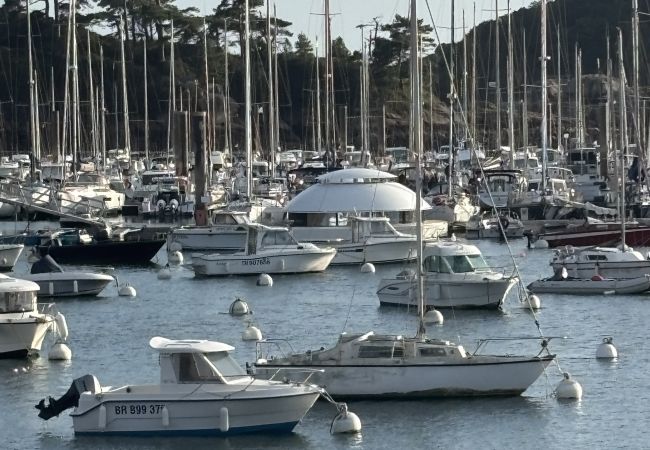 Bateau à Trébeurden - ANTHÉNEA - Trébeurden Bateau à Trébeurden - ANTHÉNEA - Trébeurden