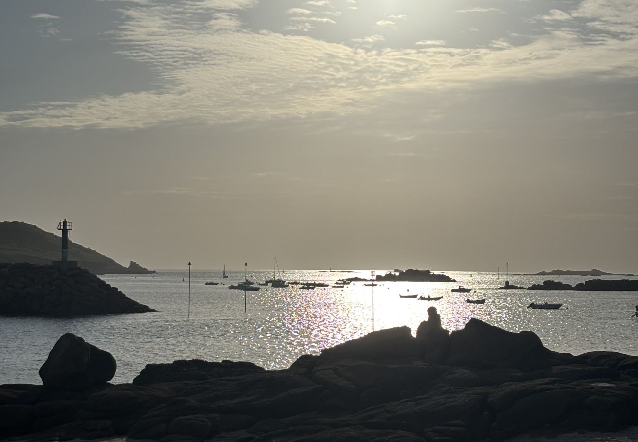 Bateau à Trébeurden - ANTHÉNEA - Trébeurden Bateau à Trébeurden - ANTHÉNEA - Trébeurden